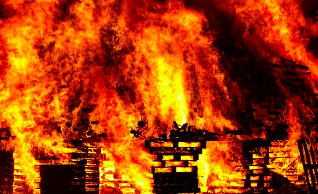 Cane salva il proprietario dalle fiamme